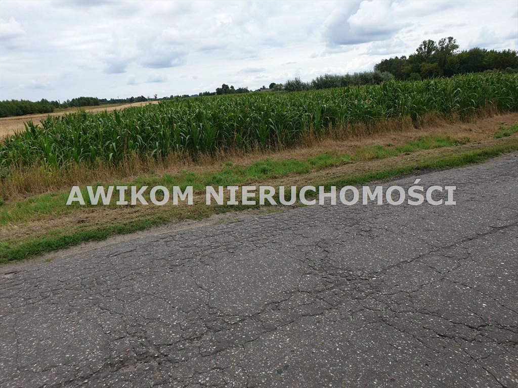 Działka 2000 m² pod zabudowę z mediami w Cegłowie Baranów, Cegłów  2 000m2 Foto 1