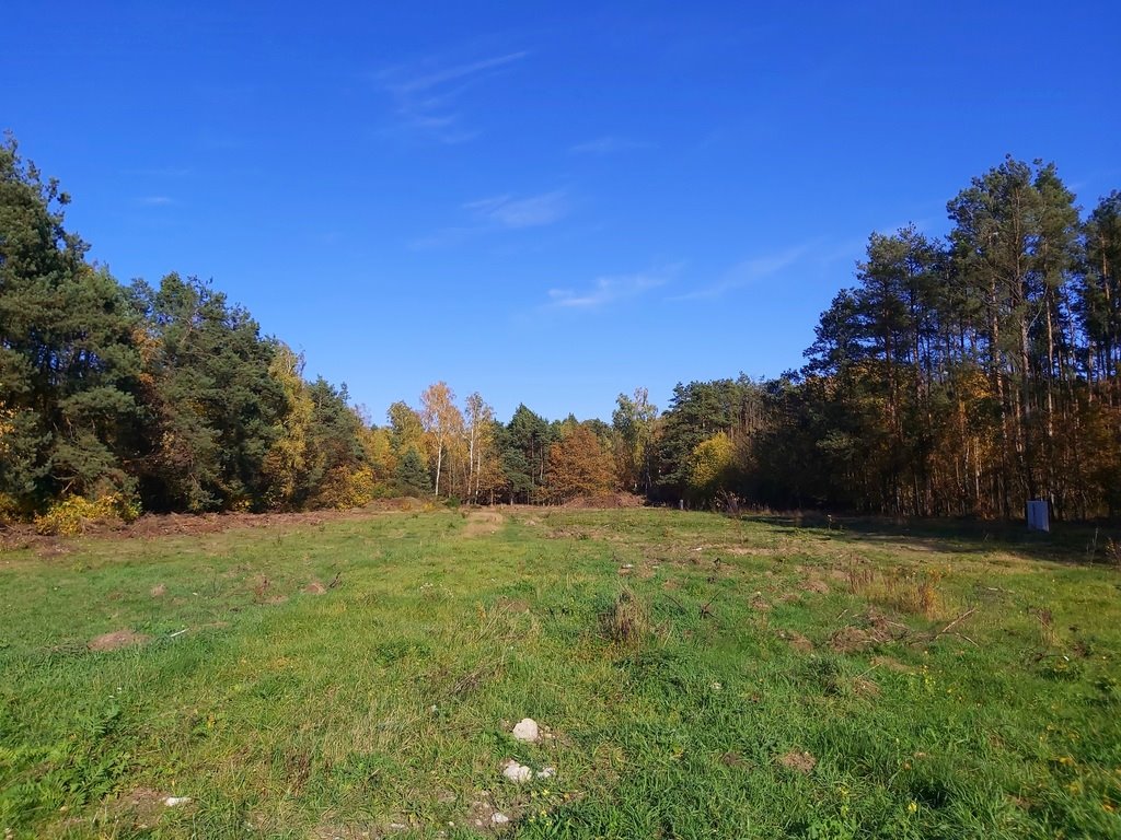 Działka budowlana na sprzedaż Łódź, Kolumny  1 000m2 Foto 1