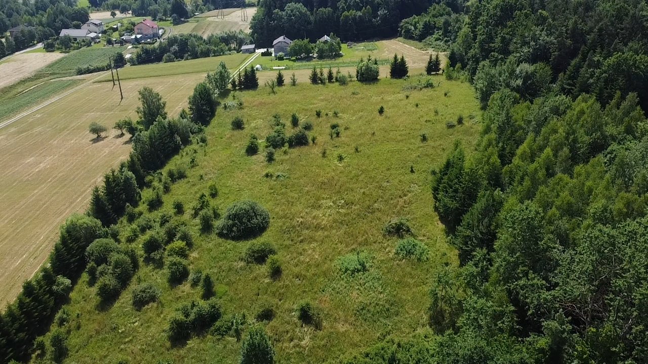 Działka budowlana na sprzedaż Stróżówka  14 998m2 Foto 6