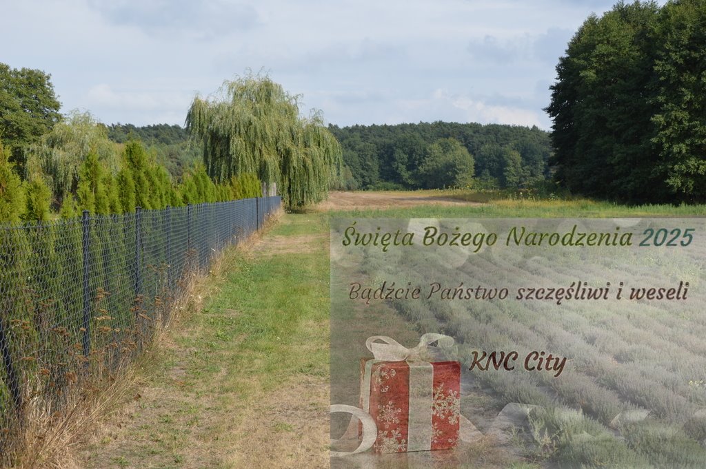 Działka inna na sprzedaż Klarów  8 136m2 Foto 1