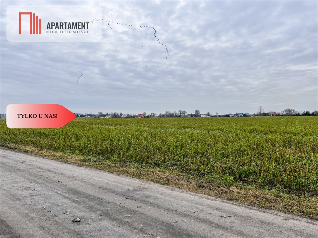 Działka budowlana na sprzedaż Łubianka  5 515m2 Foto 1