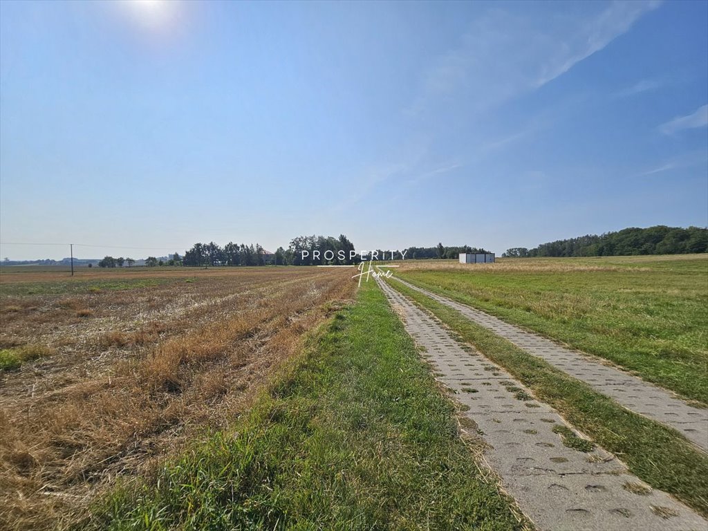 Działka budowlana na sprzedaż Rębiska, Jodłowa  1 004m2 Foto 4