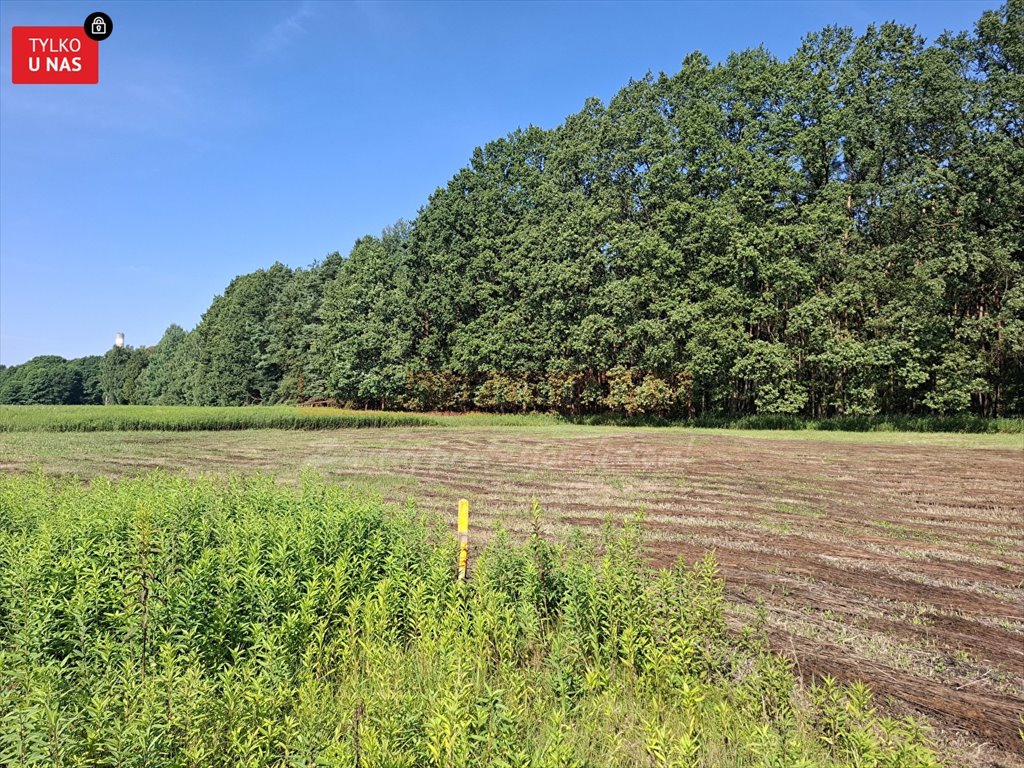 Działka inna na sprzedaż Opole, Świerkle  3 540m2 Foto 1