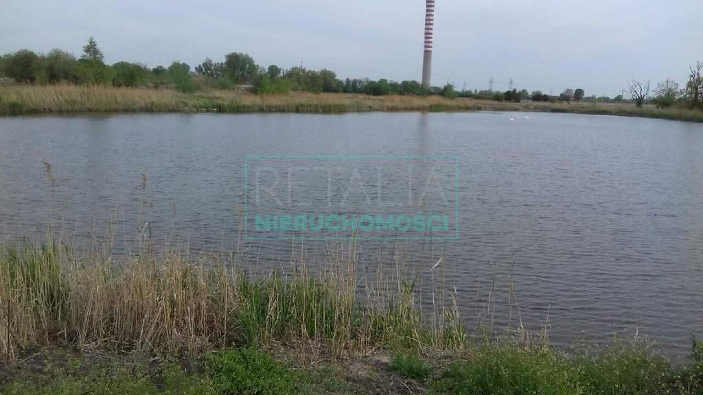 Działka z dwoma stawami 22 000 m² – rekreacja i biznes Domaniewek  22 000m2 Foto 1