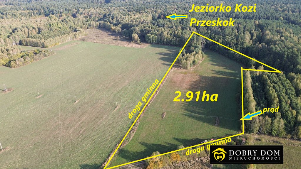 Działka 2,91 ha w lesie (prąd) - idealne miejsce na dom Folwarki Wielkie  29 100m2 Foto 1