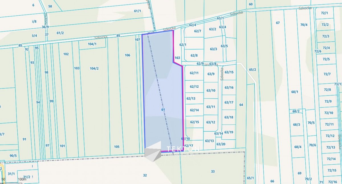 Działka budowlana na sprzedaż Janinów, Szkocka  31 100m2 Foto 12