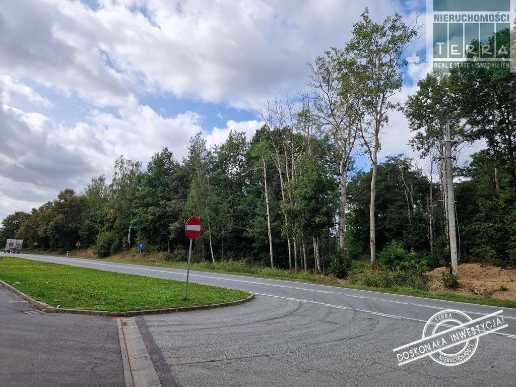 Działka budowlana na sprzedaż Nowogród Bobrzański  6 037m2 Foto 1