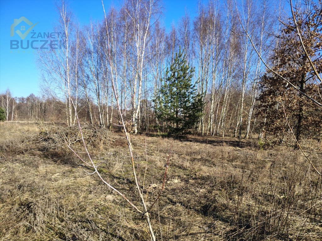 Działka 1090 m² z planem zabudowy w Nowych Mostkach Nowe Mostki  1 090m2 Foto 1