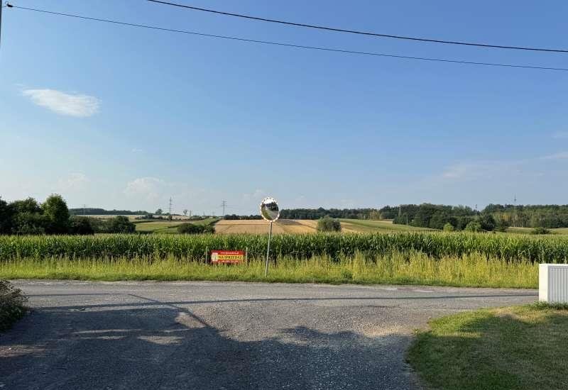 Dwie działki 3045 m² z dużym ogrodem - polecam! Wieszowa, Jagodowa  3 045m2 Foto 1