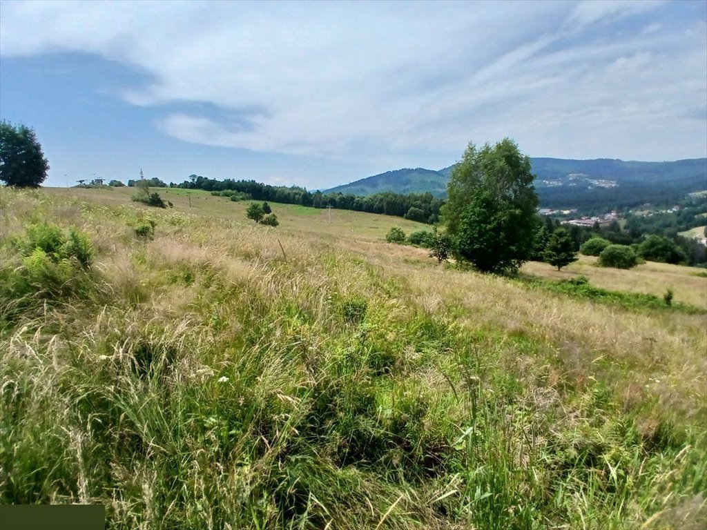 Działka inna na sprzedaż Istebna  1 700m2 Foto 2