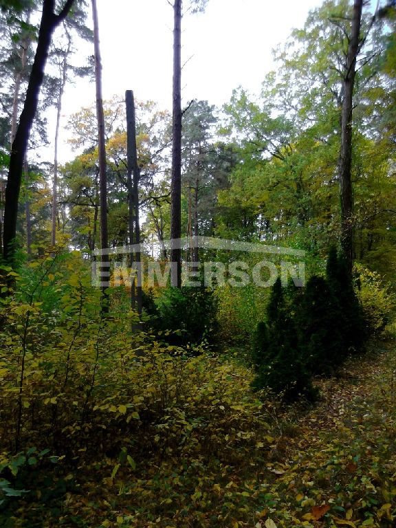 Działka leśna na sprzedaż Piaseczno, Zalesie Dolne  2 511m2 Foto 2