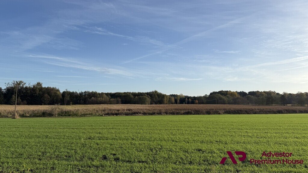 Działka budowlana na sprzedaż Mrowino, Pałacowa  3 140m2 Foto 1