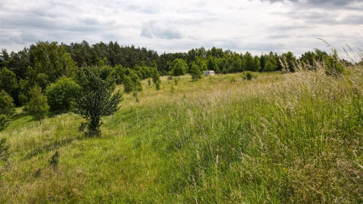 Działka budowlana na sprzedaż Gromadzin  3 143m2 Foto 8