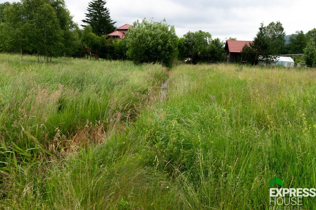 Działka budowlana na sprzedaż Stronie Śląskie  4 069m2 Foto 6