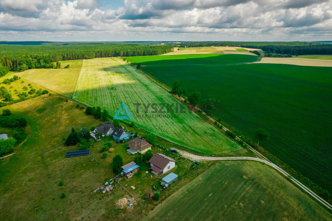 Działka rolna na sprzedaż Nożyno  3 010m2 Foto 10