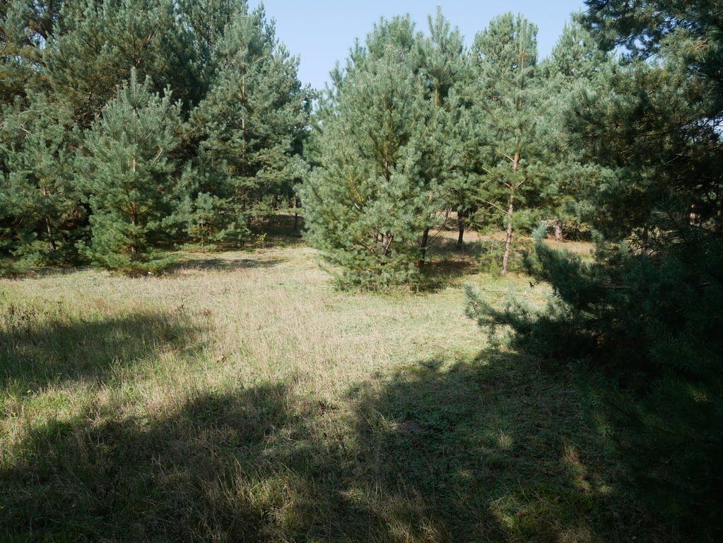 Działka budowlana na sprzedaż Bronowiec  30 100m2 Foto 8