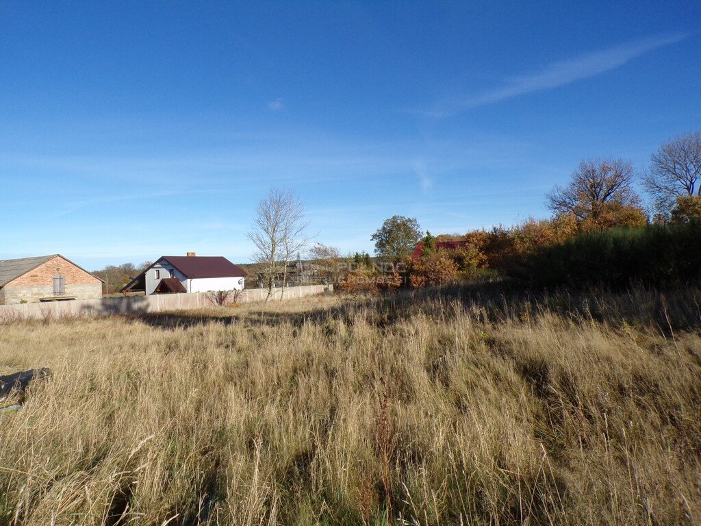 Działka budowlana na sprzedaż Wierzchocino  1 305m2 Foto 7