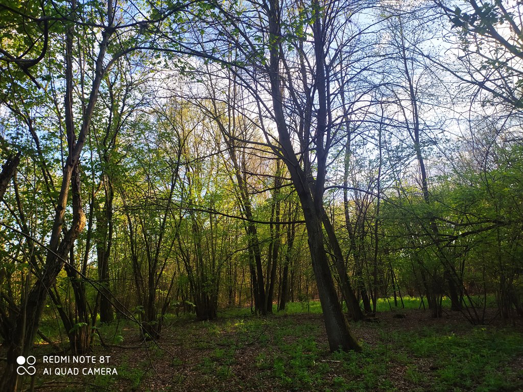 Działka inna na sprzedaż Anielin Swędowski, Strykowska 111  14 140m2 Foto 1