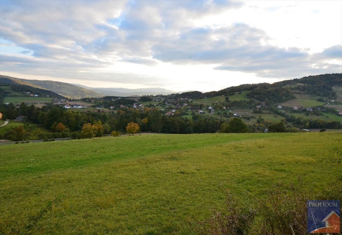 Działka budowlana na sprzedaż Laskowa  2 700m2 Foto 5