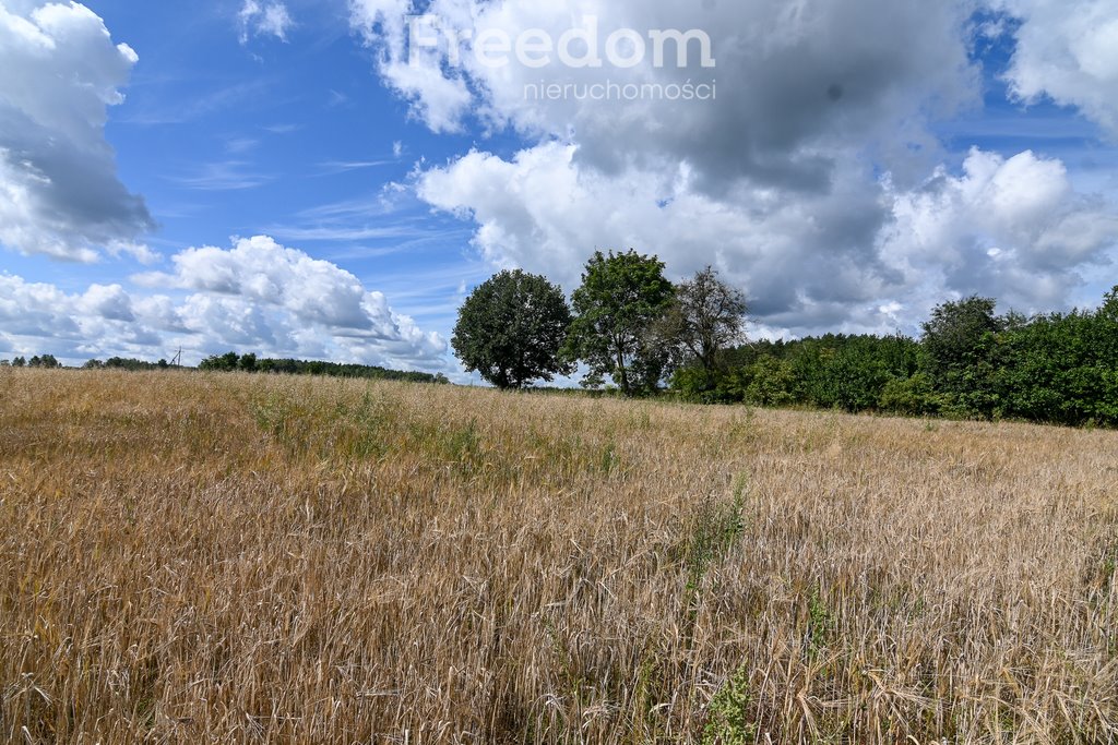 Działka budowlana na sprzedaż Brodna  2 119m2 Foto 3