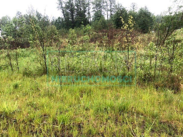 Działka budowlana na sprzedaż Skuły  5 500m2 Foto 1