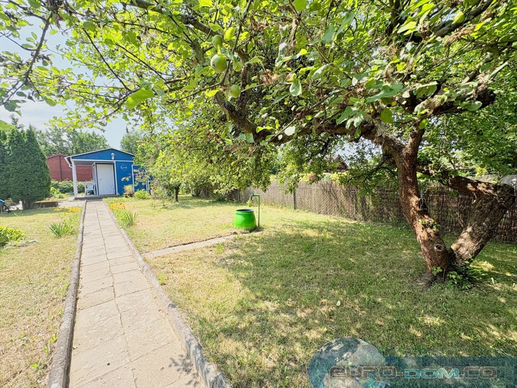 Na sprzedaż urokliwa działka ROD 300 m² z domkiem i ogrodem Poznań, Ławica, Bukowska  300m2 Foto 1