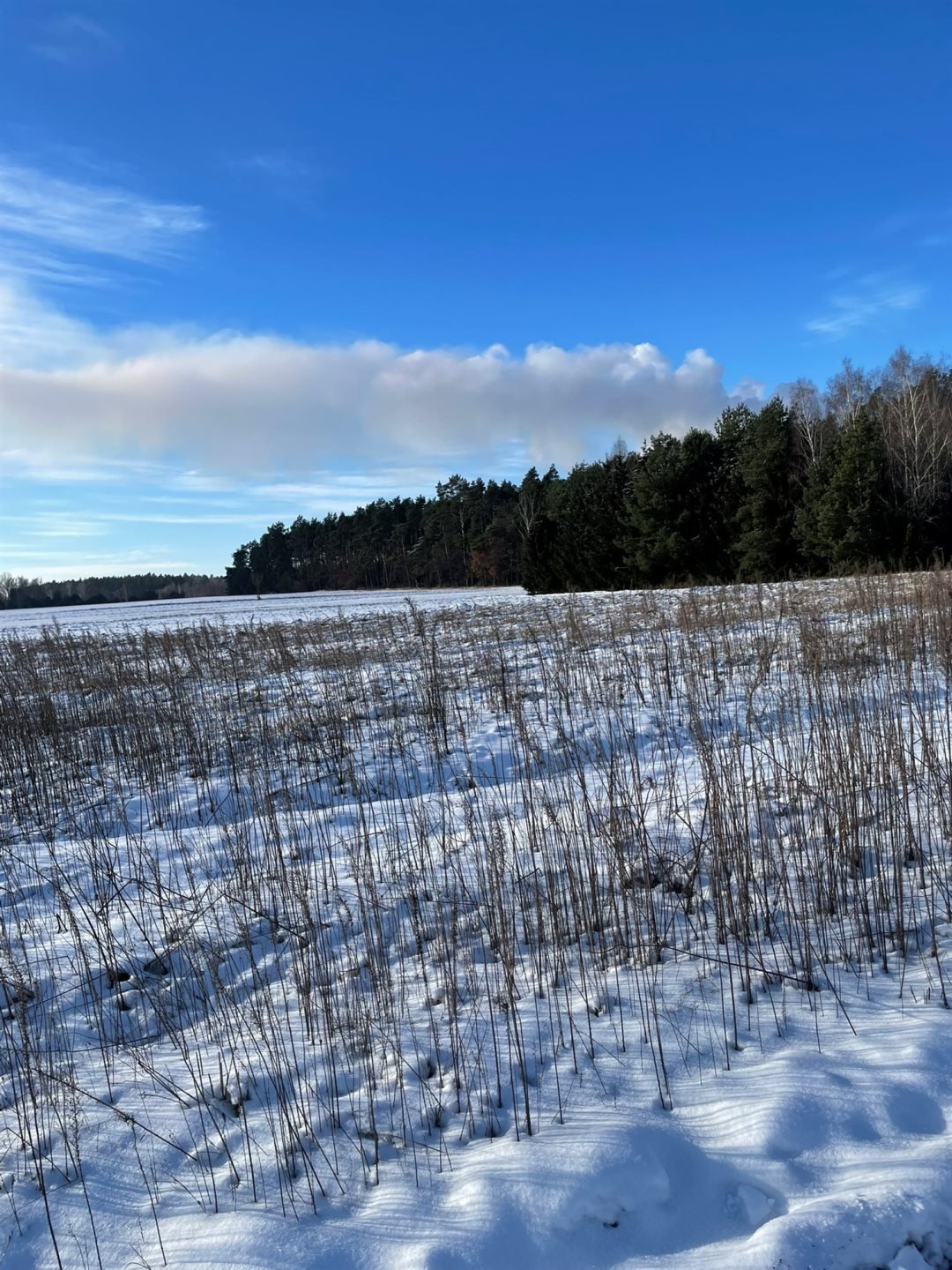 Działka budowlana na sprzedaż Kowalewko, Szyjki  1 070m2 Foto 7