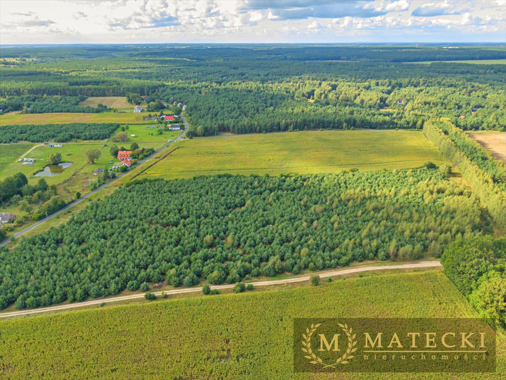 Działka budowlana na sprzedaż Karczewko, Jodłowa  3 668m2 Foto 1