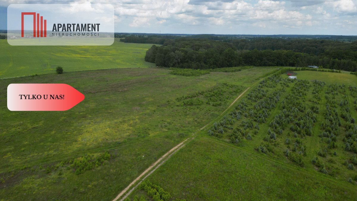 Działki rolne 1000 m² w Miradowie z widokami i prądem Miradowo  1 000m2 Foto 1