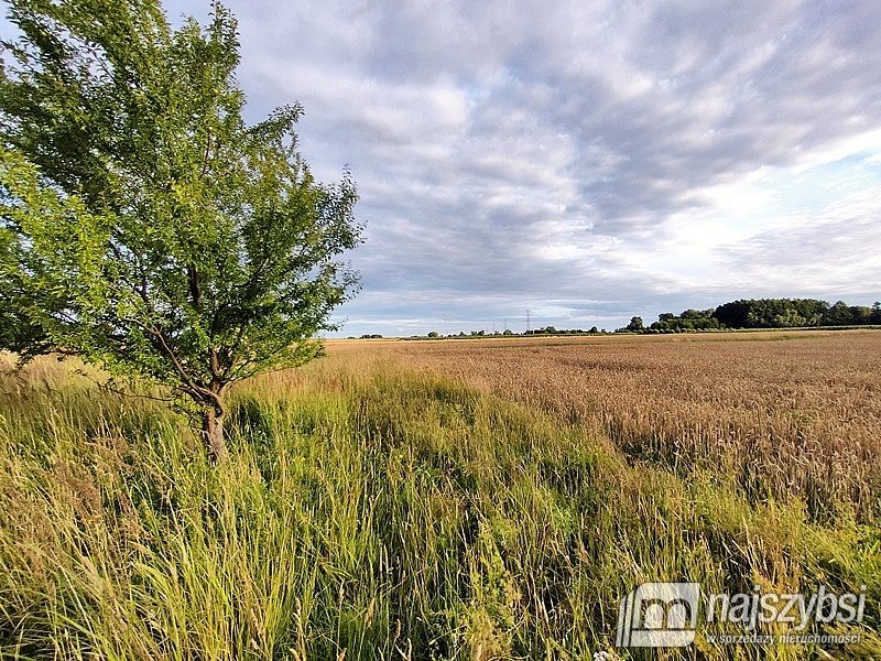 Działka rolna na sprzedaż Łupowo, Wieprzyce  2 352m2 Foto 11