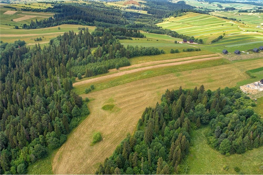 Działka inna na sprzedaż Łapsze Wyżne  3 047m2 Foto 19