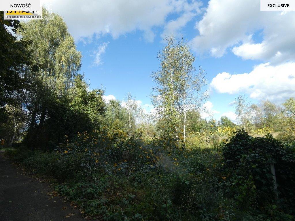 Działka budowlana na sprzedaż Goleniów, Ogrodowa  3 000m2 Foto 1