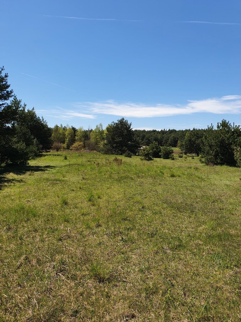 Działka budowlana na sprzedaż Rykoszyn  1 310m2 Foto 6