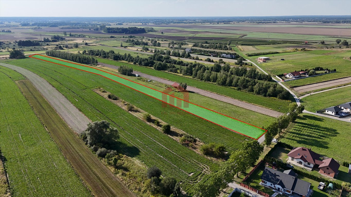 Działka budowlana na sprzedaż Świlcza  7 300m2 Foto 3