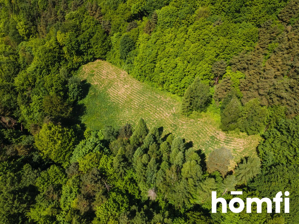 Dom na sprzedaż Kobylany, Leśna  250m2 Foto 19