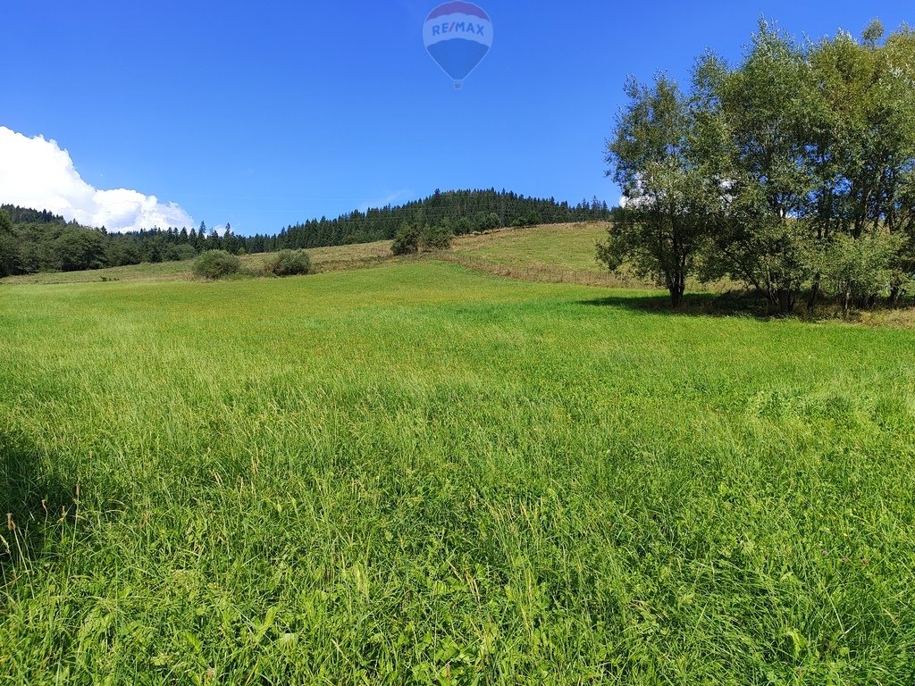 Działka budowlana na sprzedaż Łapsze Niżne  8 873m2 Foto 6