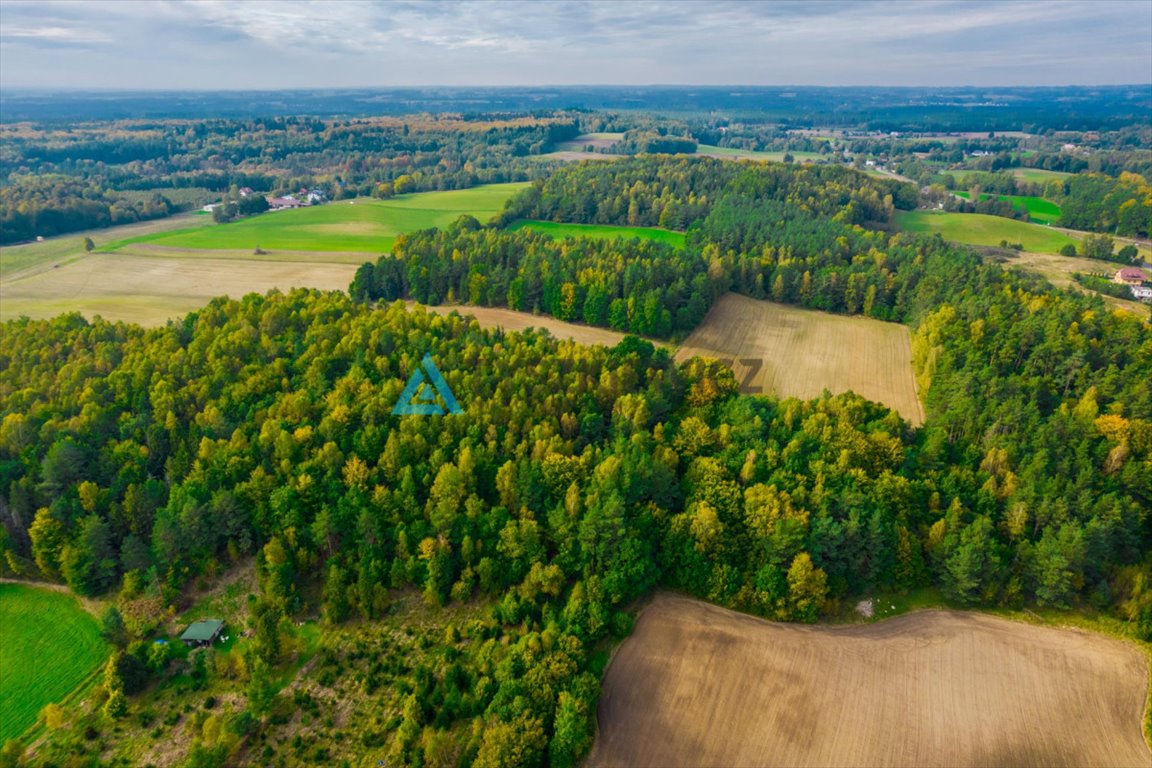 Działka rolna na sprzedaż Gołubie  102 067m2 Foto 8