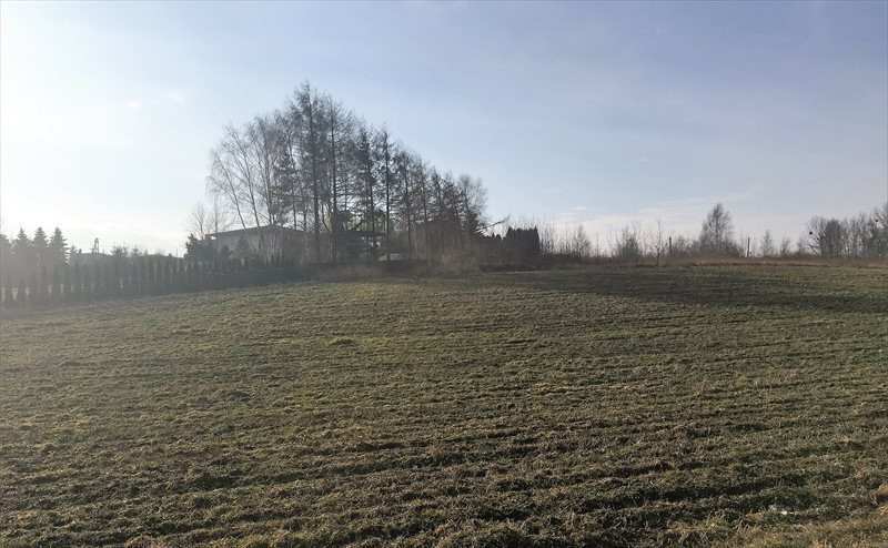 Działka budowlana na sprzedaż Mikołów, Gniotek, Rolnicza 771m2 Foto 1 Działka budowlana na sprzedaż Mikołów, Gniotek, Rolnicza 771m2 Foto 1