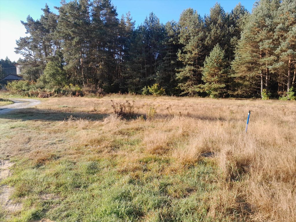 Działka 1125 m² pod dom jednorodzinny w Niwach polecam! Niwy, Niwy, Niwki Daleszyckie  1 125m2 Foto 1