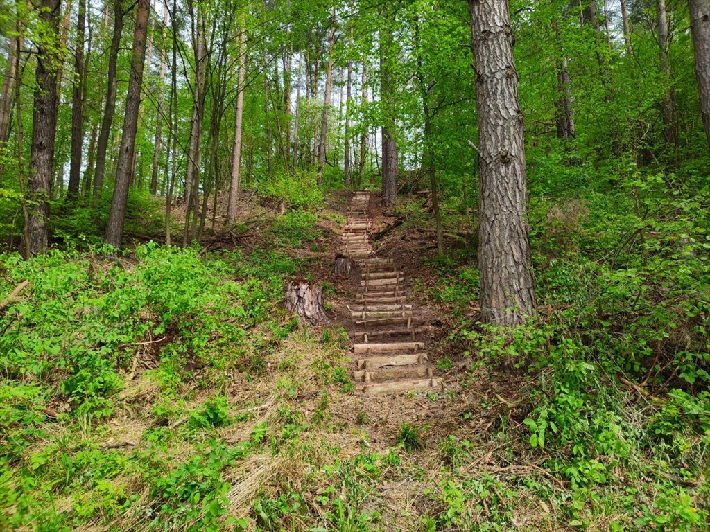 Działka inna na sprzedaż Danowo, Danowo  1 700m2 Foto 6