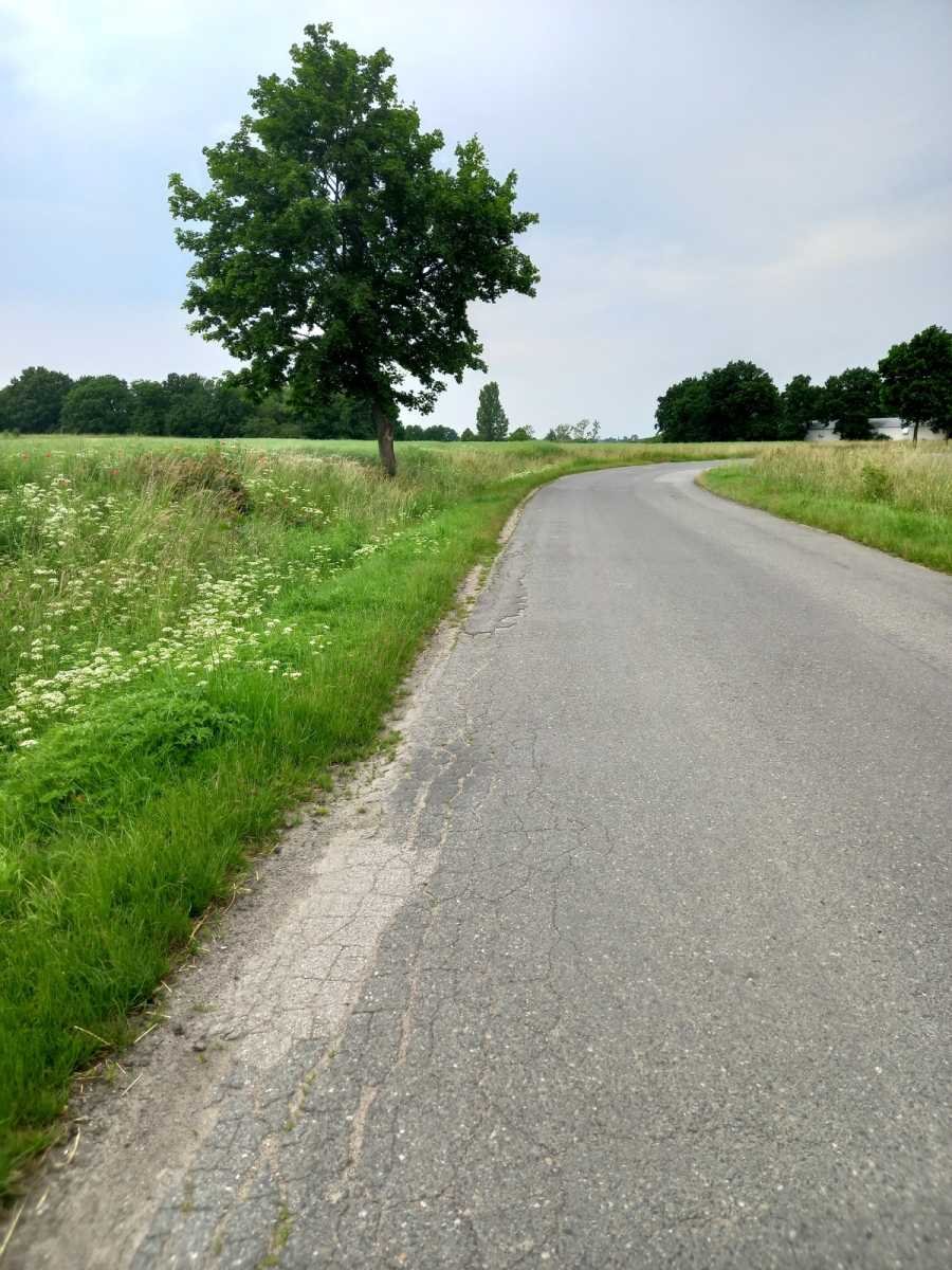 Działka budowlana na sprzedaż Olszany, Olszany  6 070m2 Foto 11