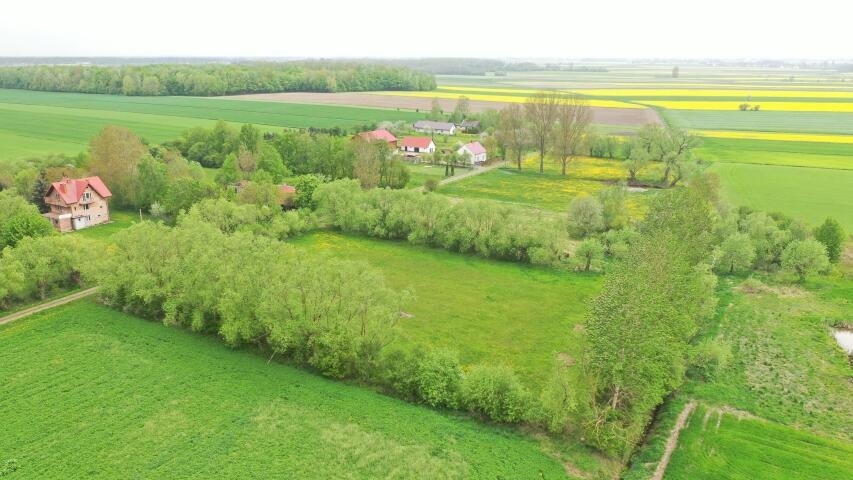 Działka rolna na sprzedaż Helenowo  6 700m2 Foto 1