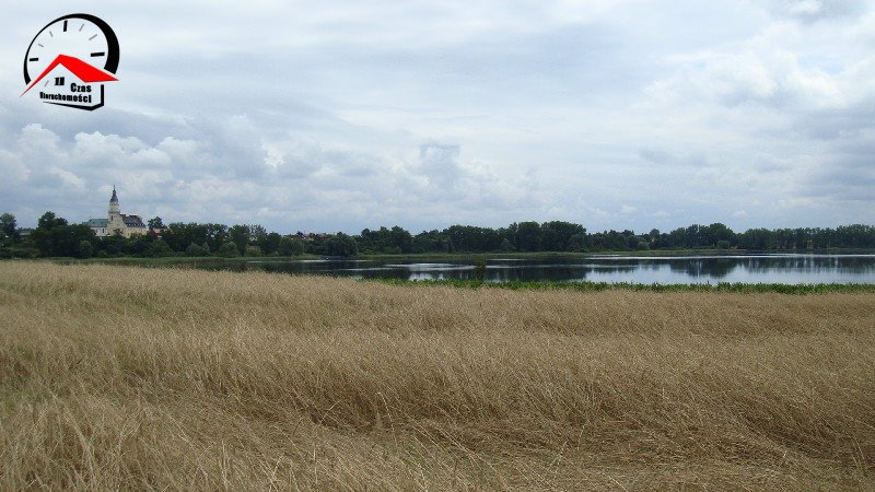 Działka gospodarstwo rolne na sprzedaż Radoszewice  3 000m2 Foto 14