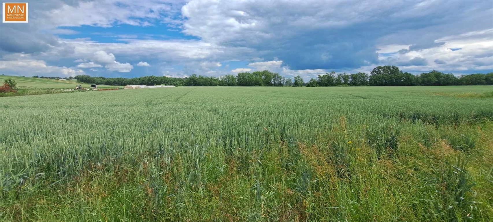 Działka budowlana na sprzedaż Hebdów  4 400m2 Foto 16