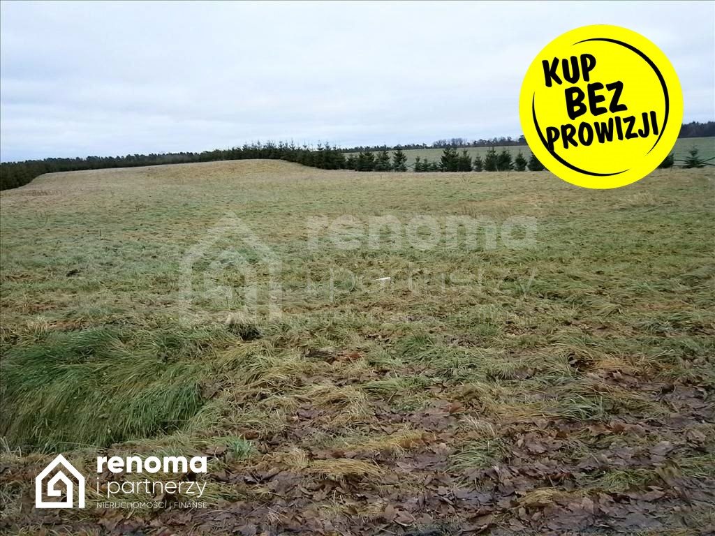 Malownicza działka 1,3 ha z projektem dworku i stawem Smolne  12 994m2 Foto 1