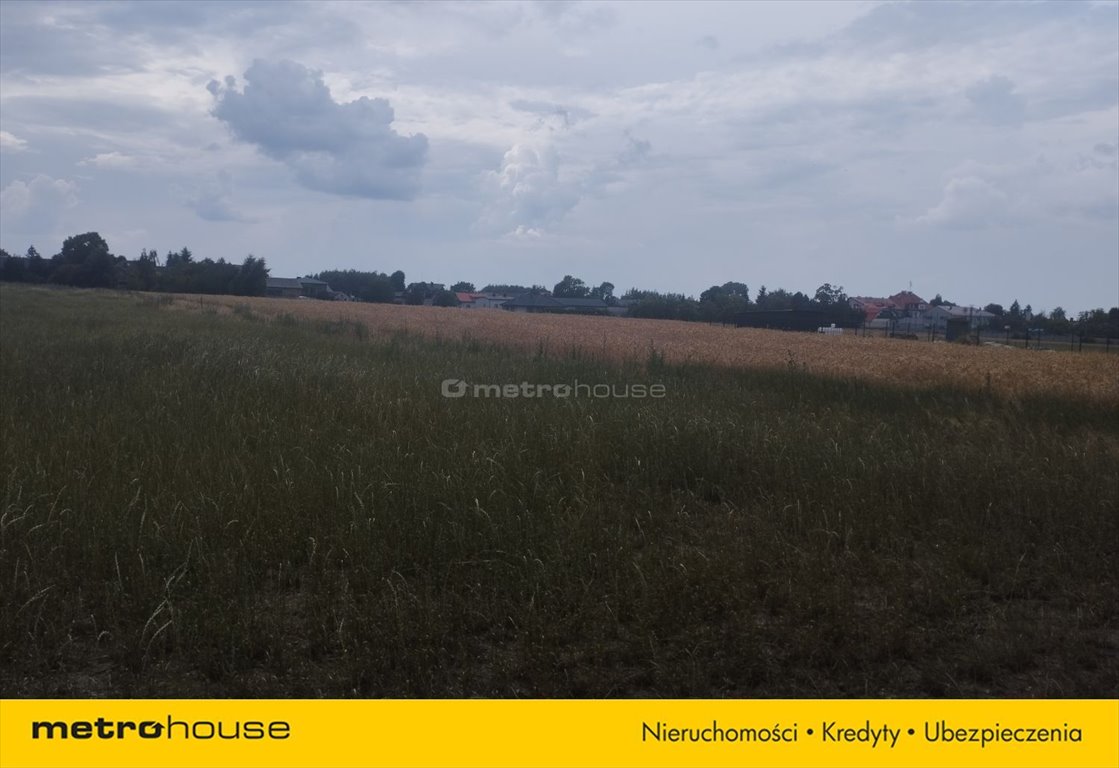 Działka inna na sprzedaż Czarnocin  1 000m2 Foto 2