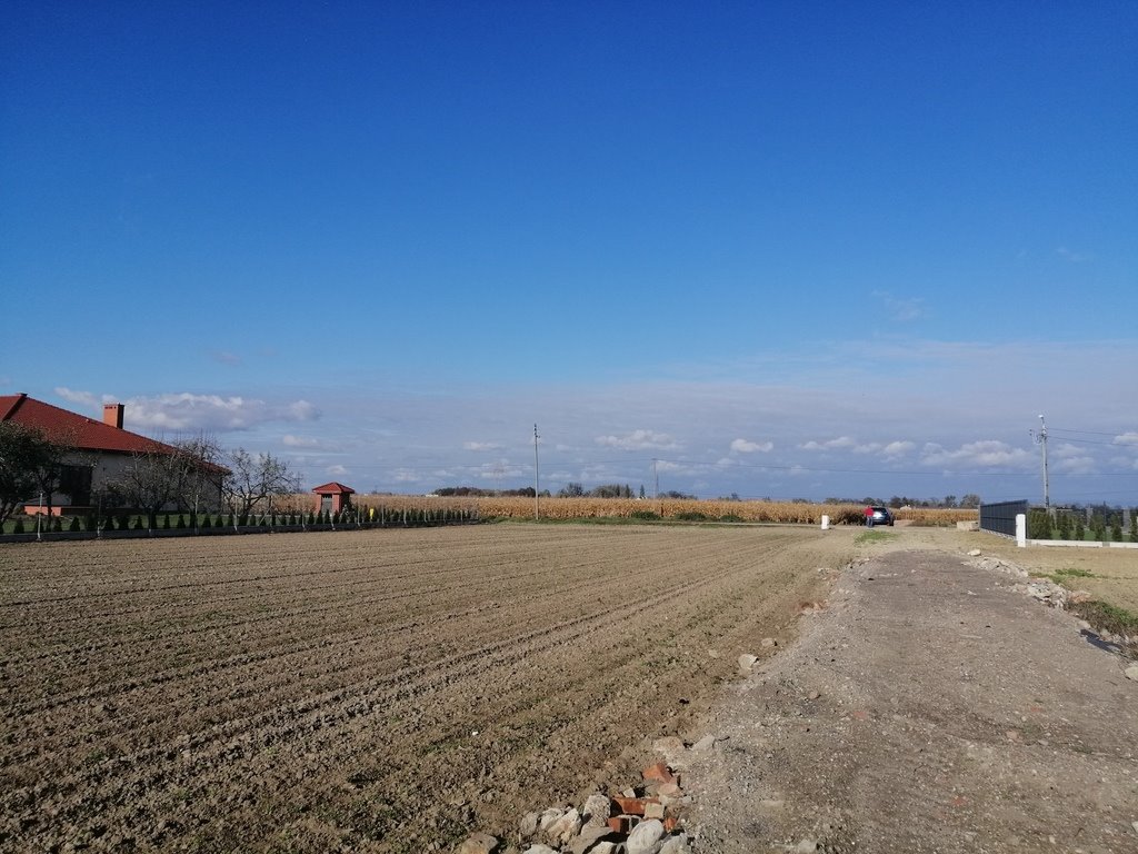 Działka budowlana na sprzedaż Ożarów Mazowiecki, Jana Zamoyskiego  1 180m2 Foto 6