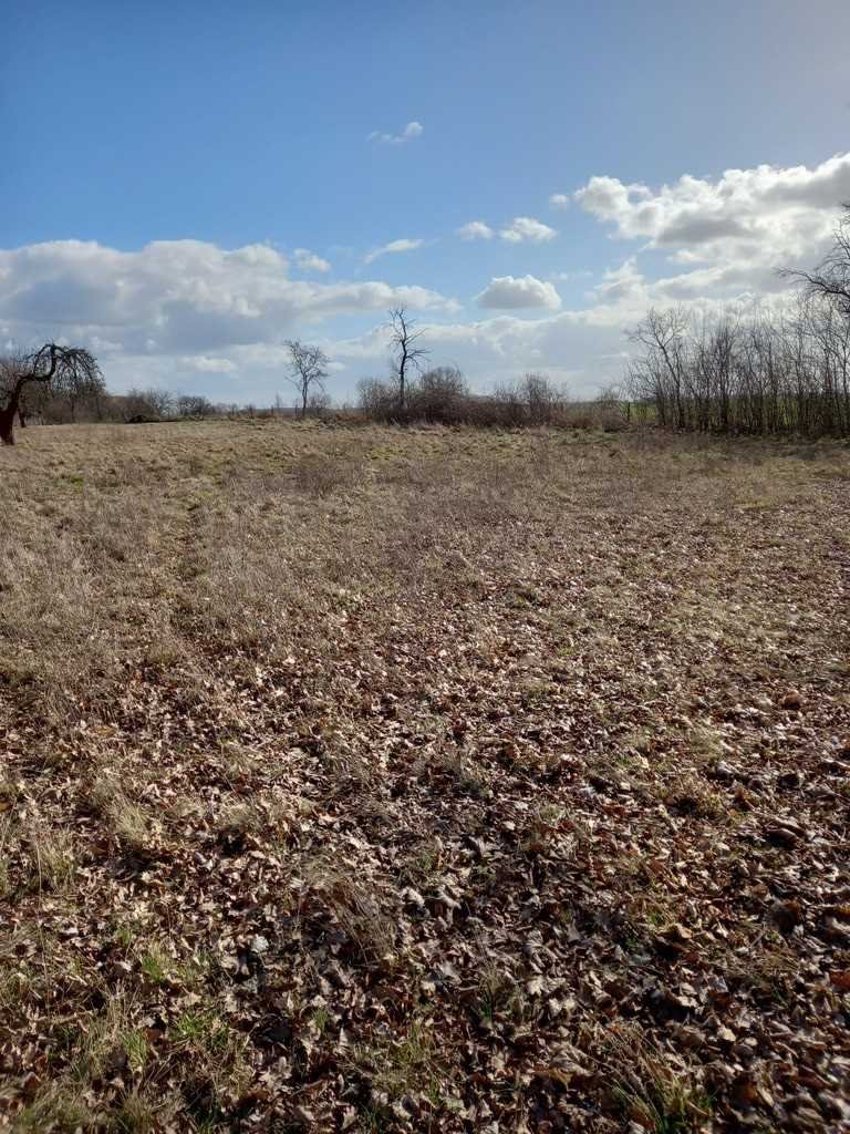 Działka inna na sprzedaż Ścinawa  3 000m2 Foto 16