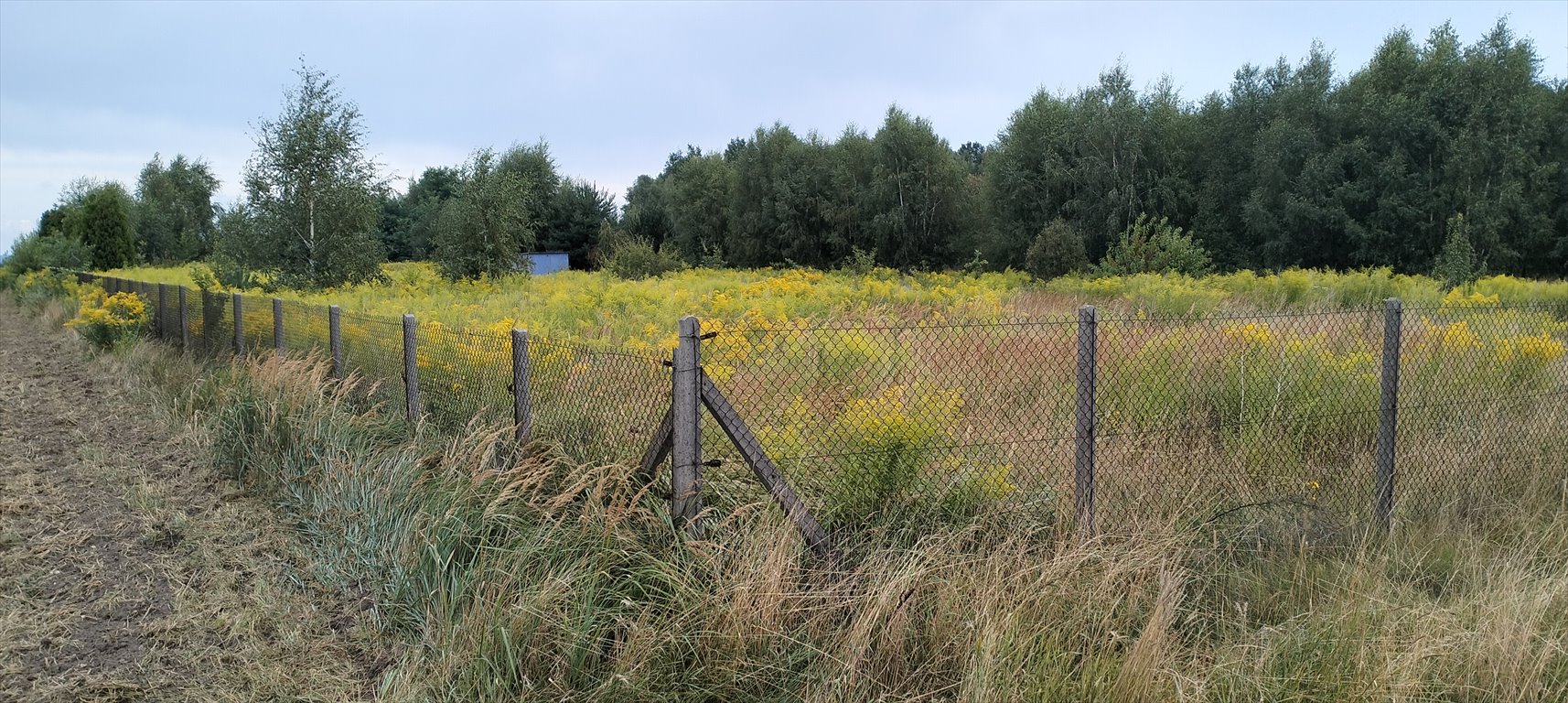 Działka budowlana na sprzedaż Mzyki, Polna  8 400m2 Foto 1