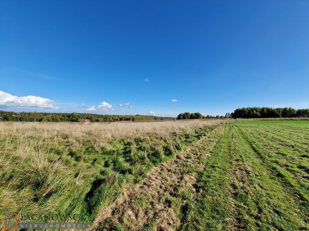 Działka budowlana na sprzedaż Zelków  4 025m2 Foto 4